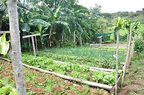 Vida Mountain Resort & Spa - Adults Only