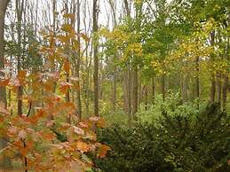 Vintage Gardens Bed & Breakfast