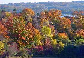 Vintage Gardens Bed & Breakfast