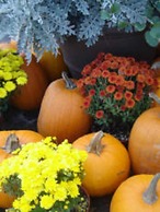 Vintage Gardens Bed & Breakfast