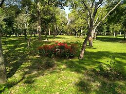 Hotel Traditional Inn