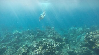 Amed Lodge by Sudamala Resorts