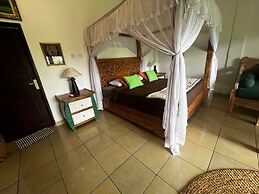 Great Mountain Views