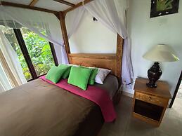 Great Mountain Views