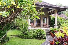 Great Mountain Views