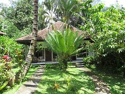 Great Mountain Views