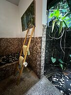 Great Mountain Views