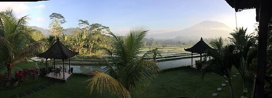 Great Mountain Views