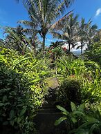 Great Mountain Views