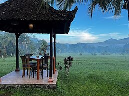 Great Mountain Views