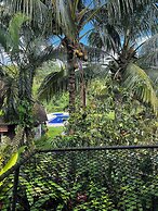 Great Mountain Views