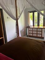 Great Mountain Views