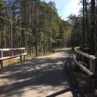 Cobble Wood & Bird Sanctuary Guest Houses