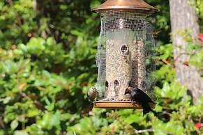 Cobble Wood & Bird Sanctuary Guest Houses