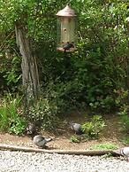 Cobble Wood & Bird Sanctuary Guest Houses