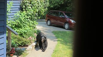 Cobble Wood & Bird Sanctuary Guest Houses