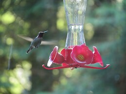 Cobble Wood & Bird Sanctuary Guest Houses