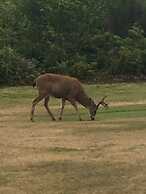 Cobble Wood & Bird Sanctuary Guest Houses