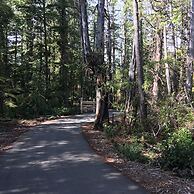 Cobble Wood & Bird Sanctuary Guest Houses