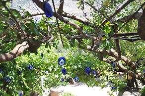 Lacivert Boutique Hotel