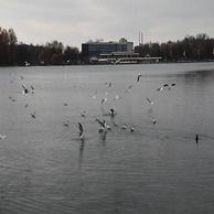 Arena Suites Hannover