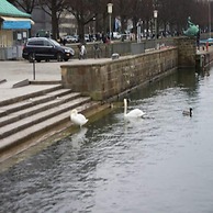 Arena Suites Hannover