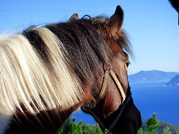 Arxontiko Mytilineou Skretaion