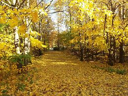 Spacious 4 Room Apartment & Sauna