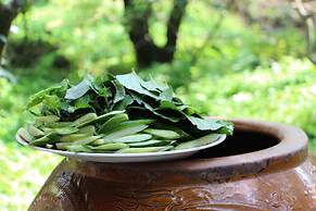 Gite Nam Hien Mekong