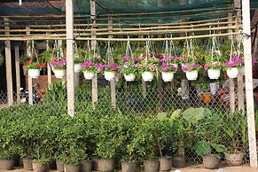 Gite Nam Hien Mekong