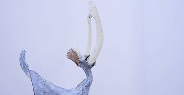 La Valle Delle Ferriere