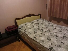 Old Flat Apartments on Belinskogo