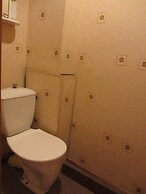 Old Flat Apartments on Belinskogo