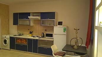 Old Flat Apartments Degtyarniy