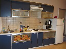 Old Flat Apartments Degtyarniy