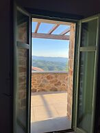 Foresta in Medias Mores