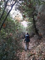 Foresta in Medias Mores