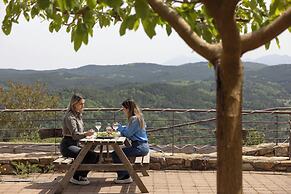 Foresta in Medias Mores