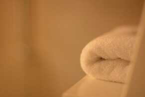 Foresta in Medias Mores