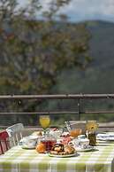 Foresta in Medias Mores