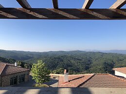 Foresta in Medias Mores