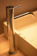 Foresta in Medias Mores