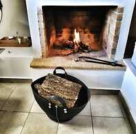 Foresta in Medias Mores