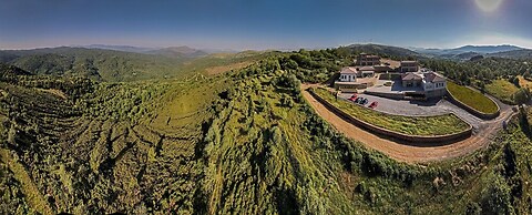 Foresta in Medias Mores