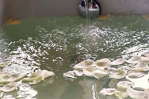 Pousada Santa Thereza