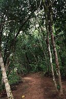 Pousada Santa Thereza