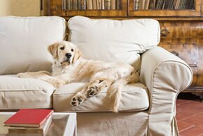 Fattoria Pian di Rocca