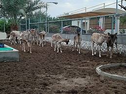 Asahalah Farm Villas