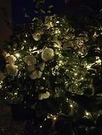 Lisander Bed & Breakfast