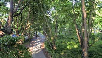 Sintrivanis Beach Resort